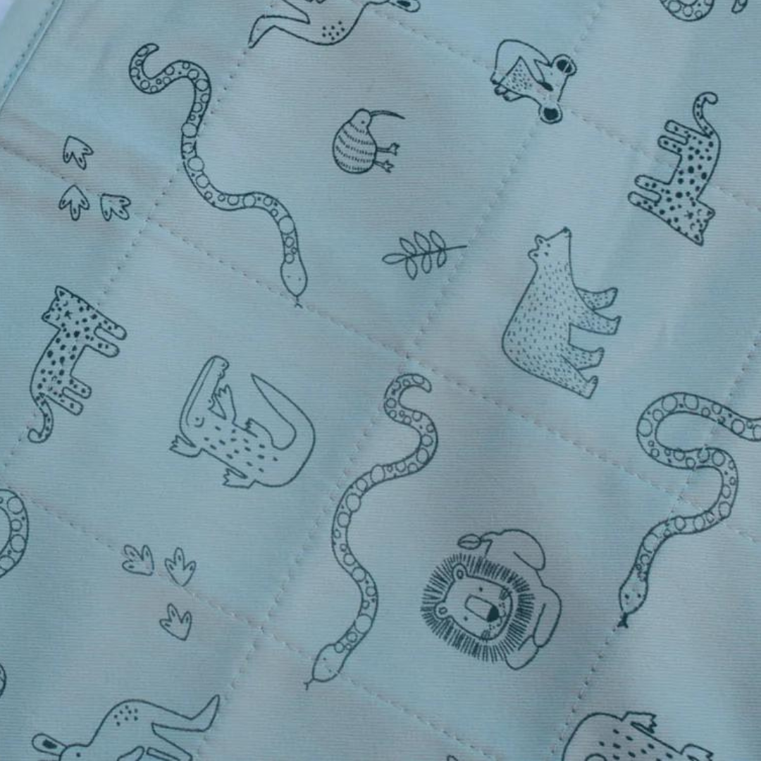 Eclipse, Brollysheet and Book Special Offer 2025